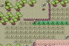 Retro_Macchina tweet media