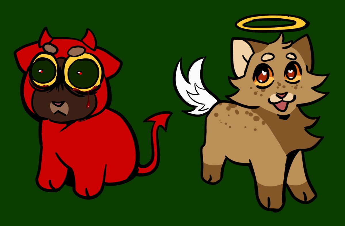 cody fab 🐟 tweet media