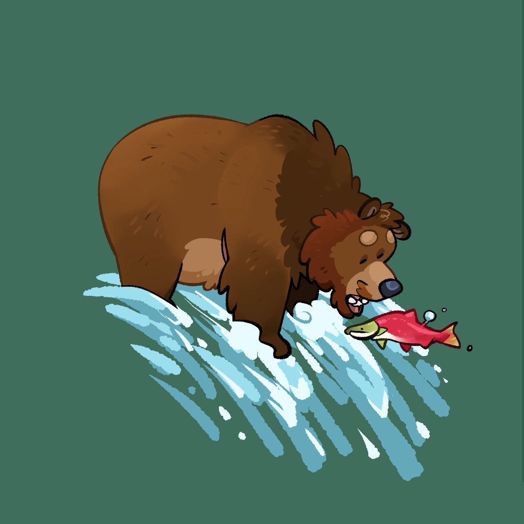 ROBB🐾✨ tweet media