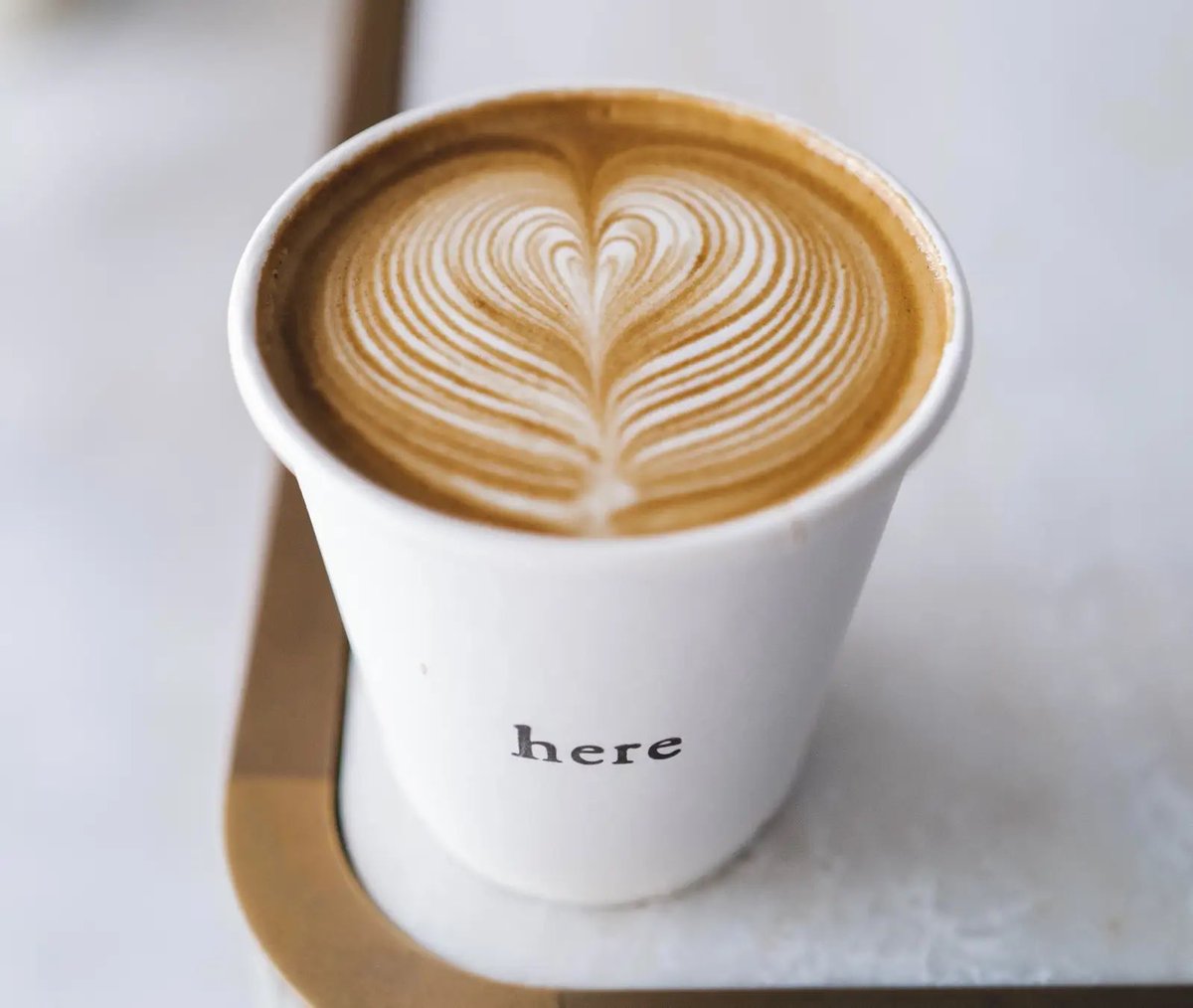 おいでよ名古屋@おいなご tweet media