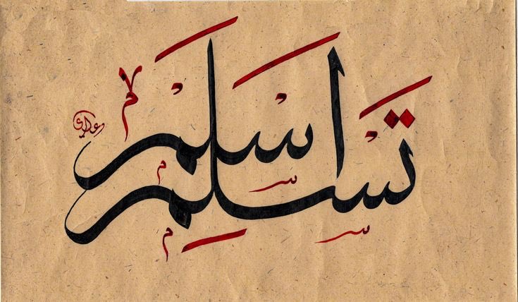 EGYPTIAN tweet media