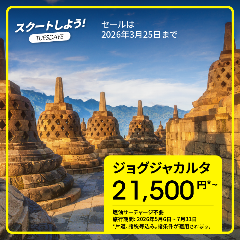 FlyScoot tweet media