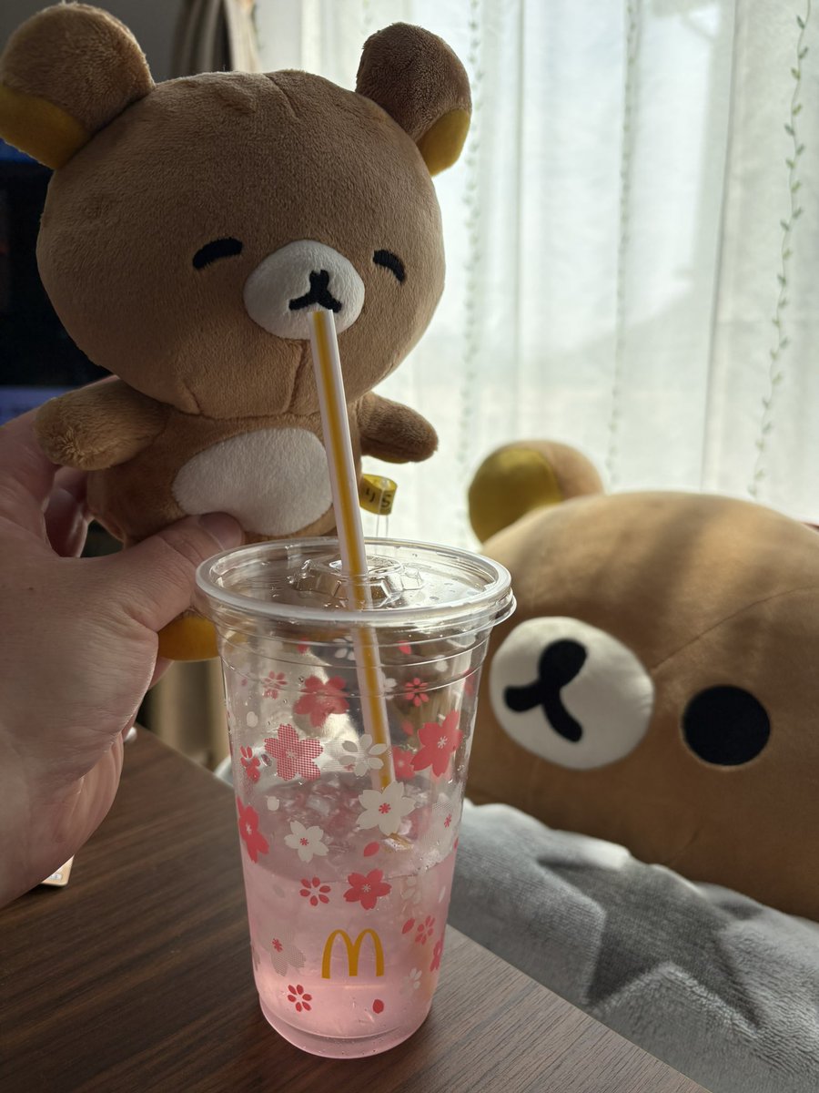 ゆうや tweet media