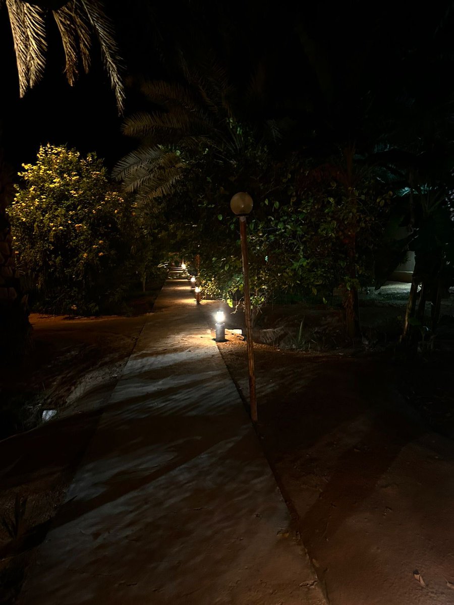 ᚱubaξ tweet media