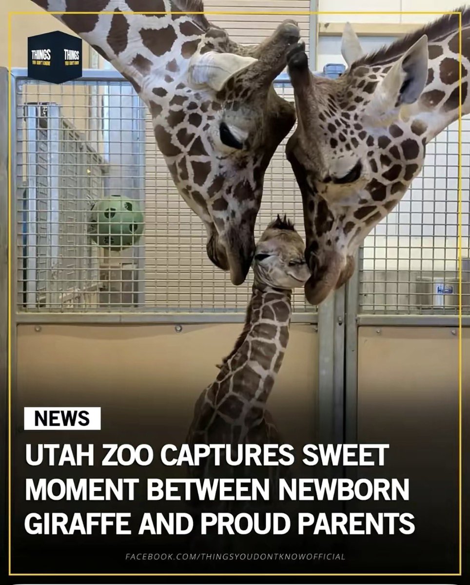 Farm Girl Carrie 👩‍🌾 tweet media