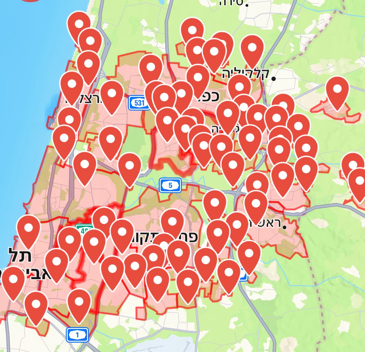 Vivid.🇮🇱 tweet media