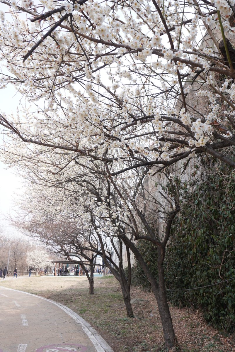 ◡̈ Jean~soosoo 🐧 tweet media