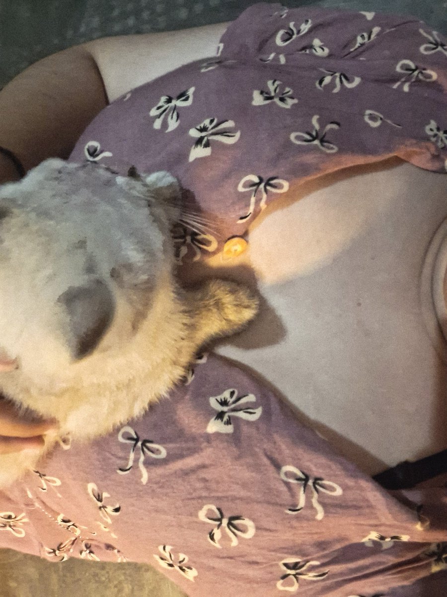 odyyy '-' tweet media