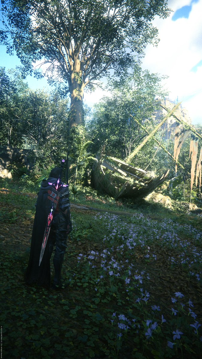 PlayLife tweet media