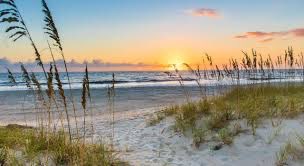 Chandler Langevin tweet media