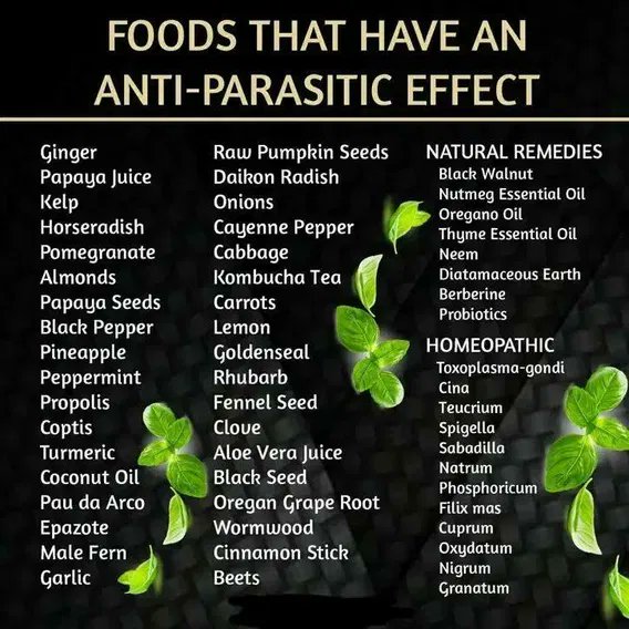 Vocational Science of Freedom tweet media