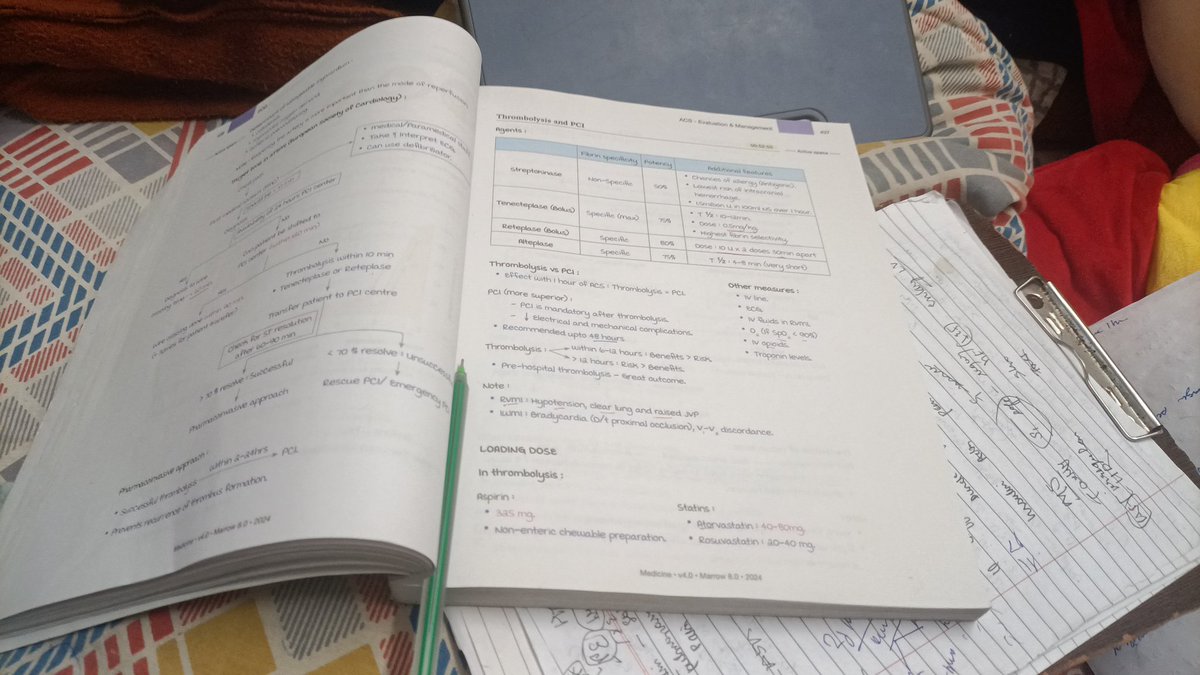 crazy whale 🐳 tweet media