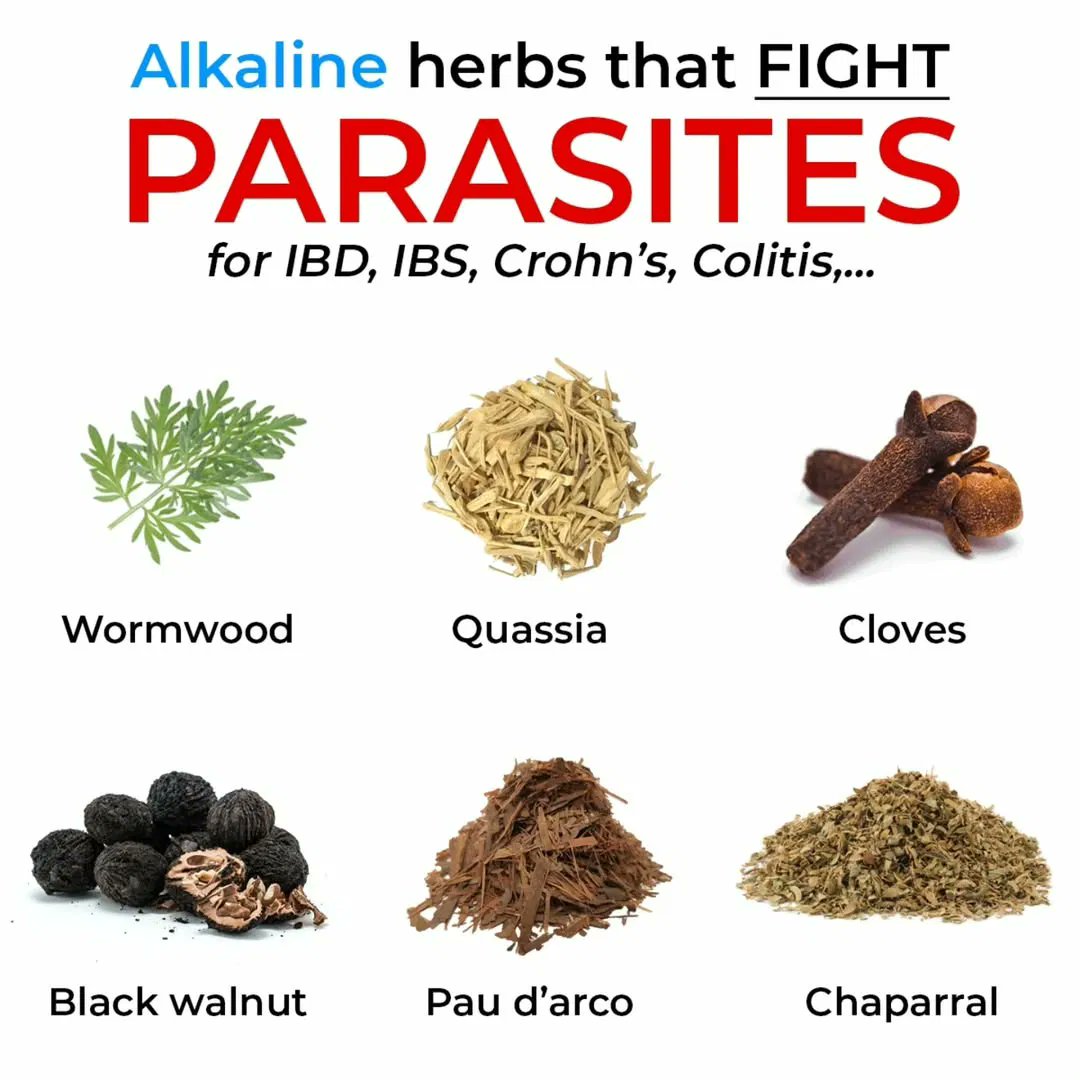 Vocational Science of Freedom tweet media