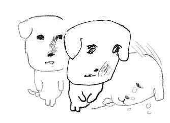 두비 tweet media
