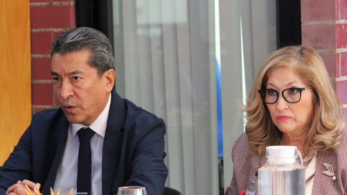 INSP México tweet media