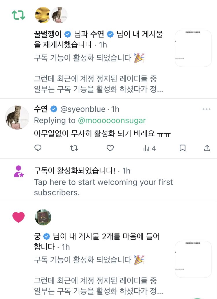 😺카짓🥖🌹☂️ tweet media