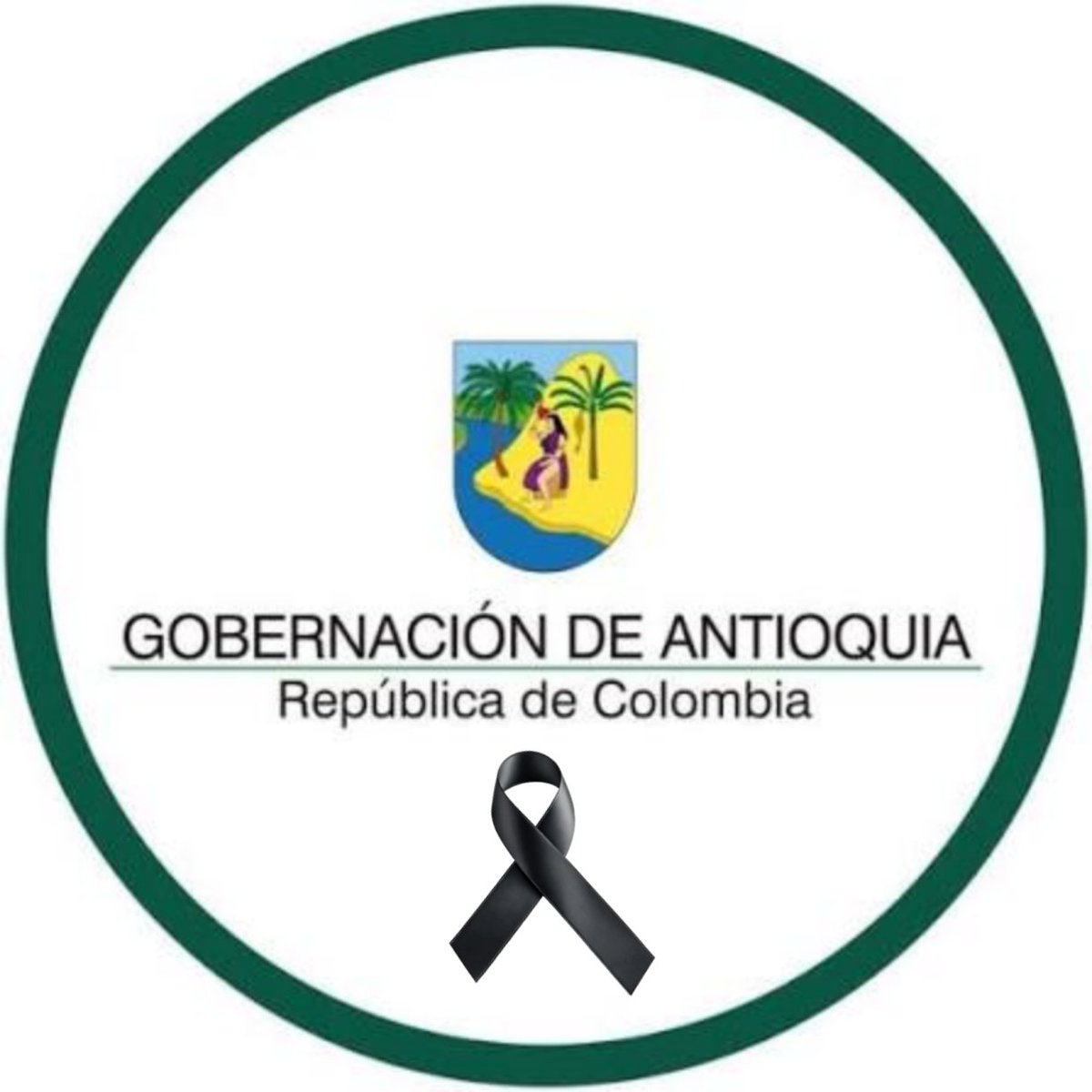 𝕷𝖎𝖓𝖆🌼 tweet media