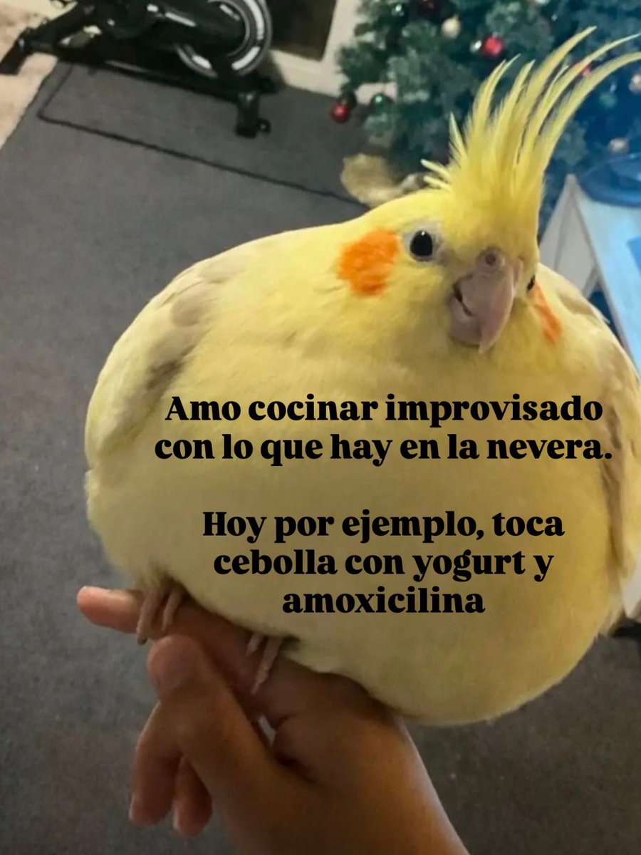 Mundo de Bigotes tweet media