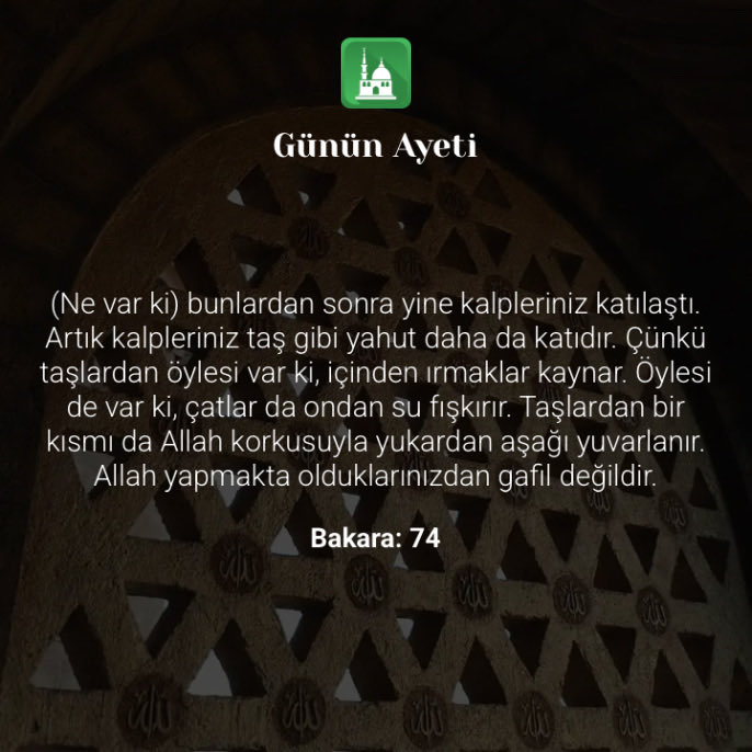 Mahmut POLAT tweet media