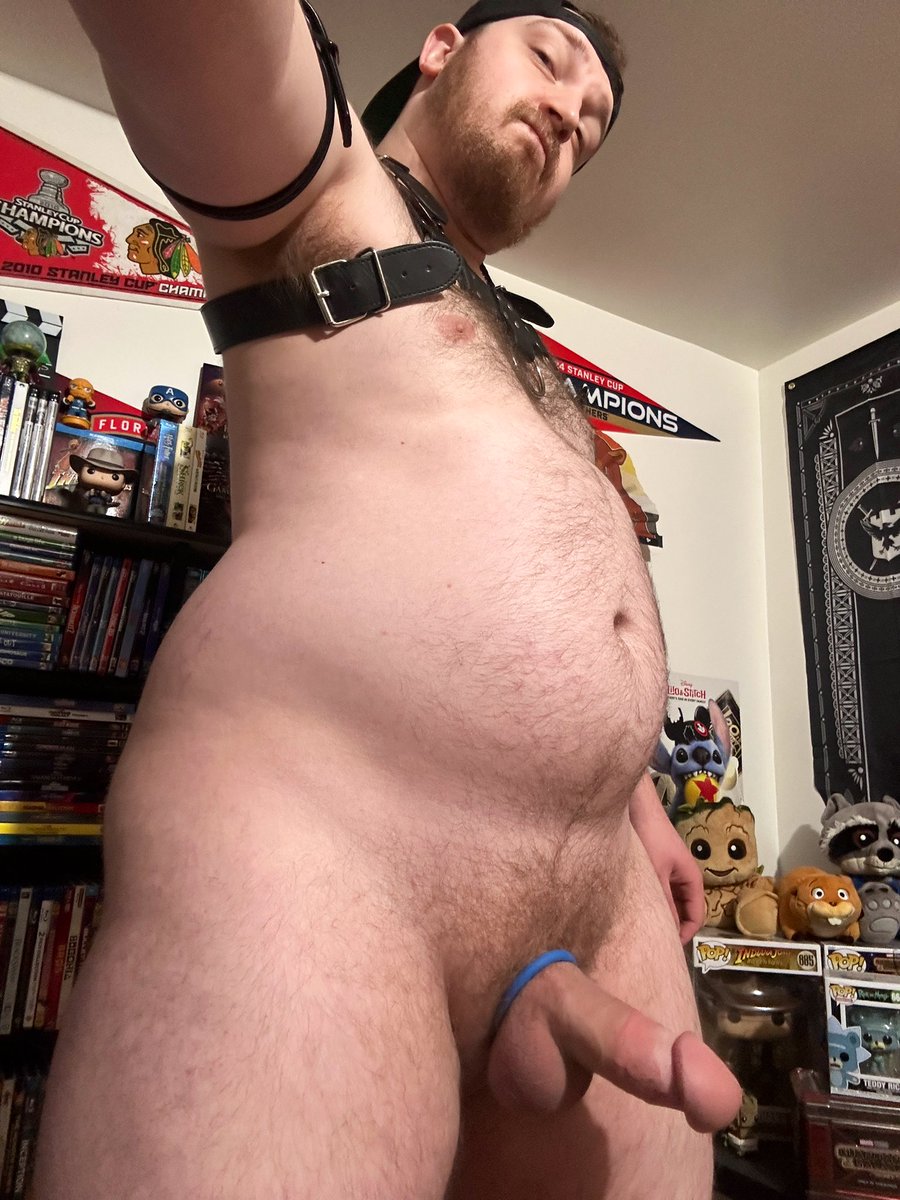 cinema bear tweet media