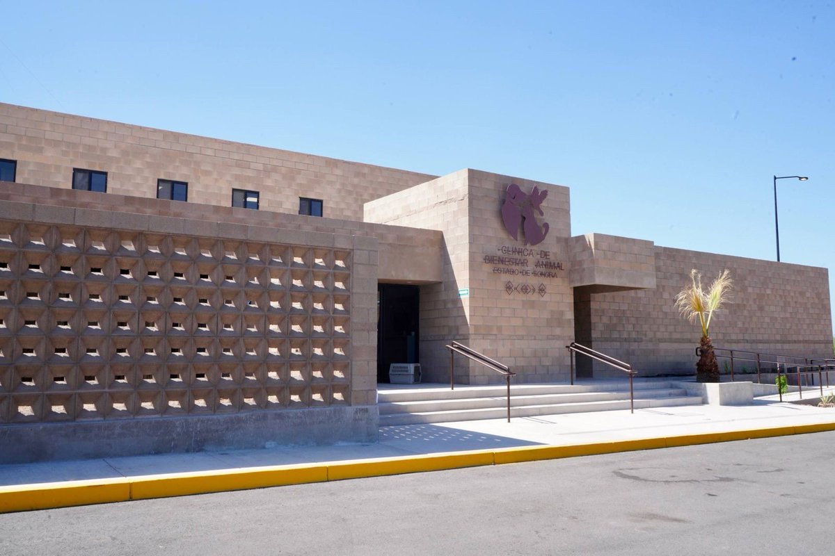 Alfonso Durazo tweet media