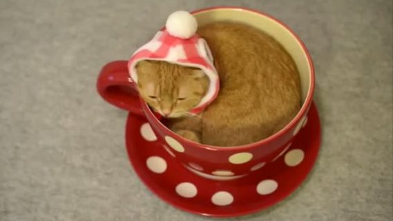 Stéphane Lefebvre - Slartzone production tweet media