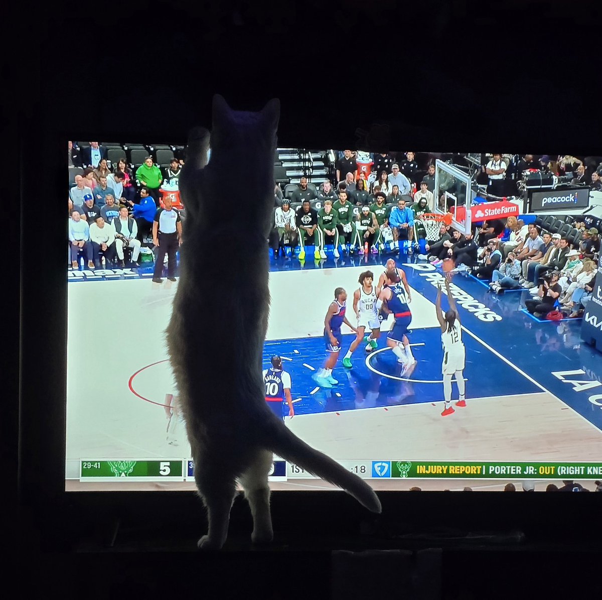 Joshie Win 🏳️‍⚧️ tweet media