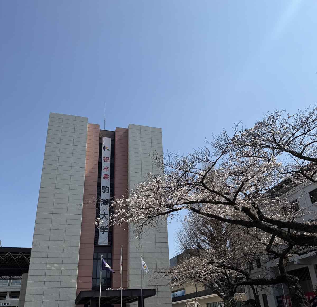 加藤邦彦 tweet media