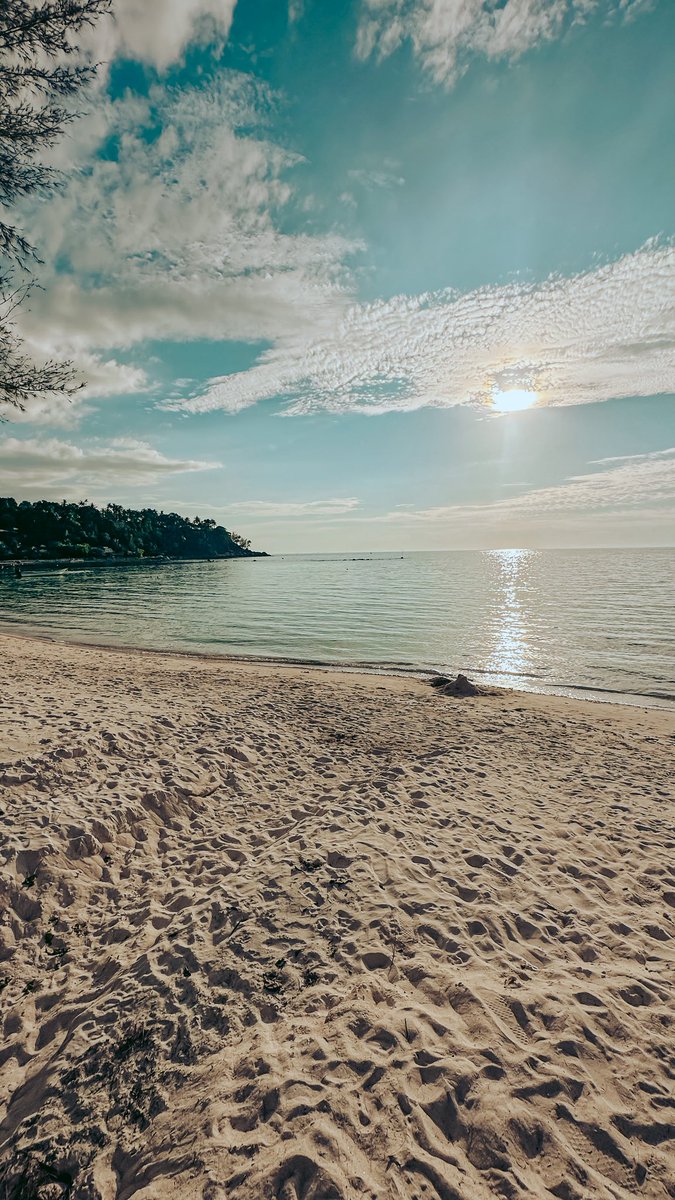 John 🧳 tweet media