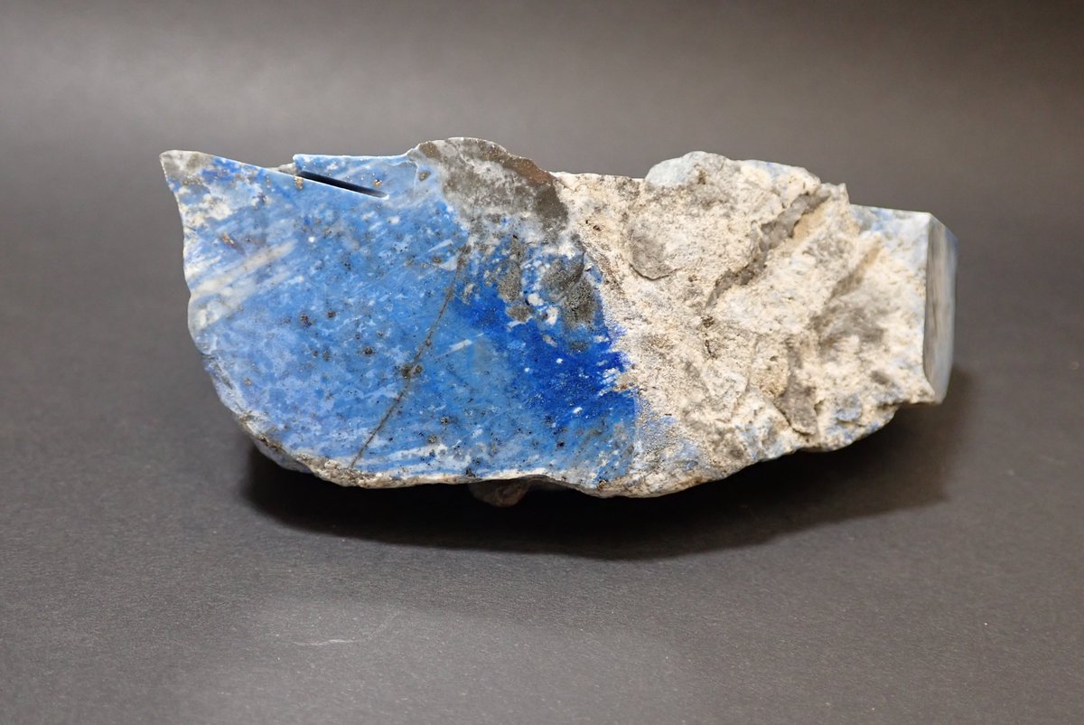 かはく【国立科学博物館公式】 tweet media