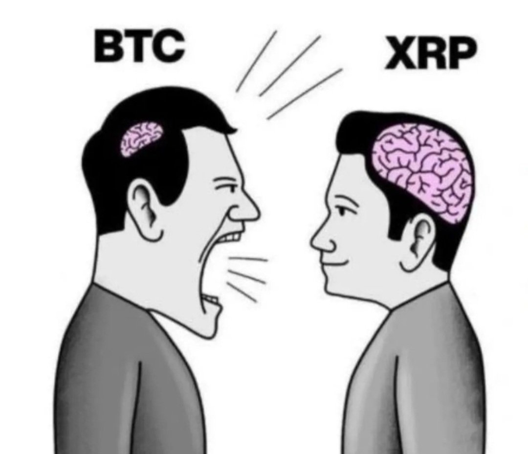 드리머(리플리증후군) tweet media