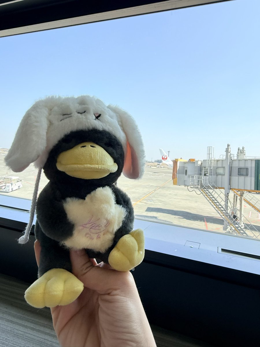 🪐 ‎• ☆ * ⋆ มัมม๋าแอ๋มปุ๊ปิ๊ ✩°｡ ⋆ 😾🐰🦆🐇✨ tweet media