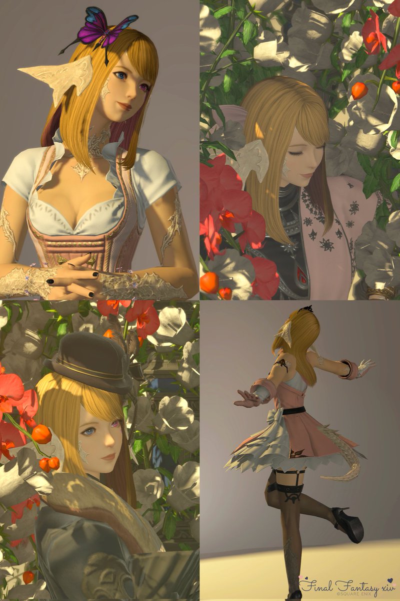 ❥Lina*🐰🐾 tweet media