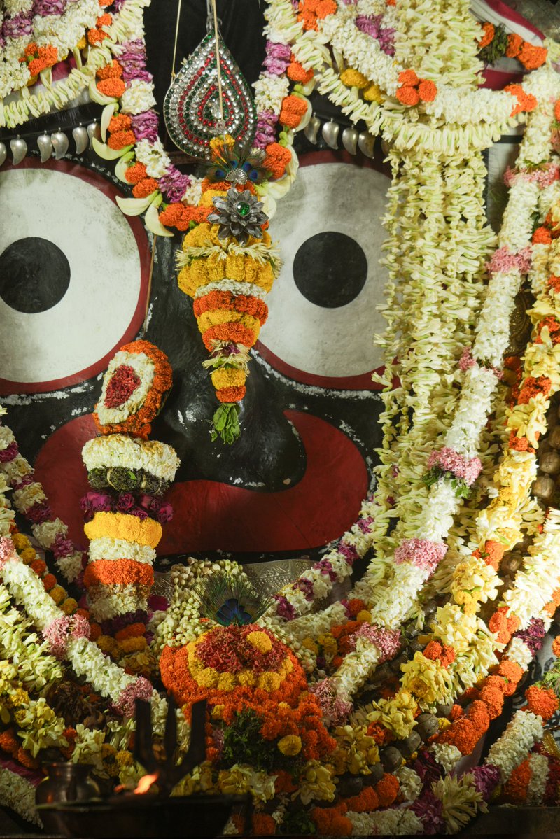 🦋šrαdhα🦋 tweet media