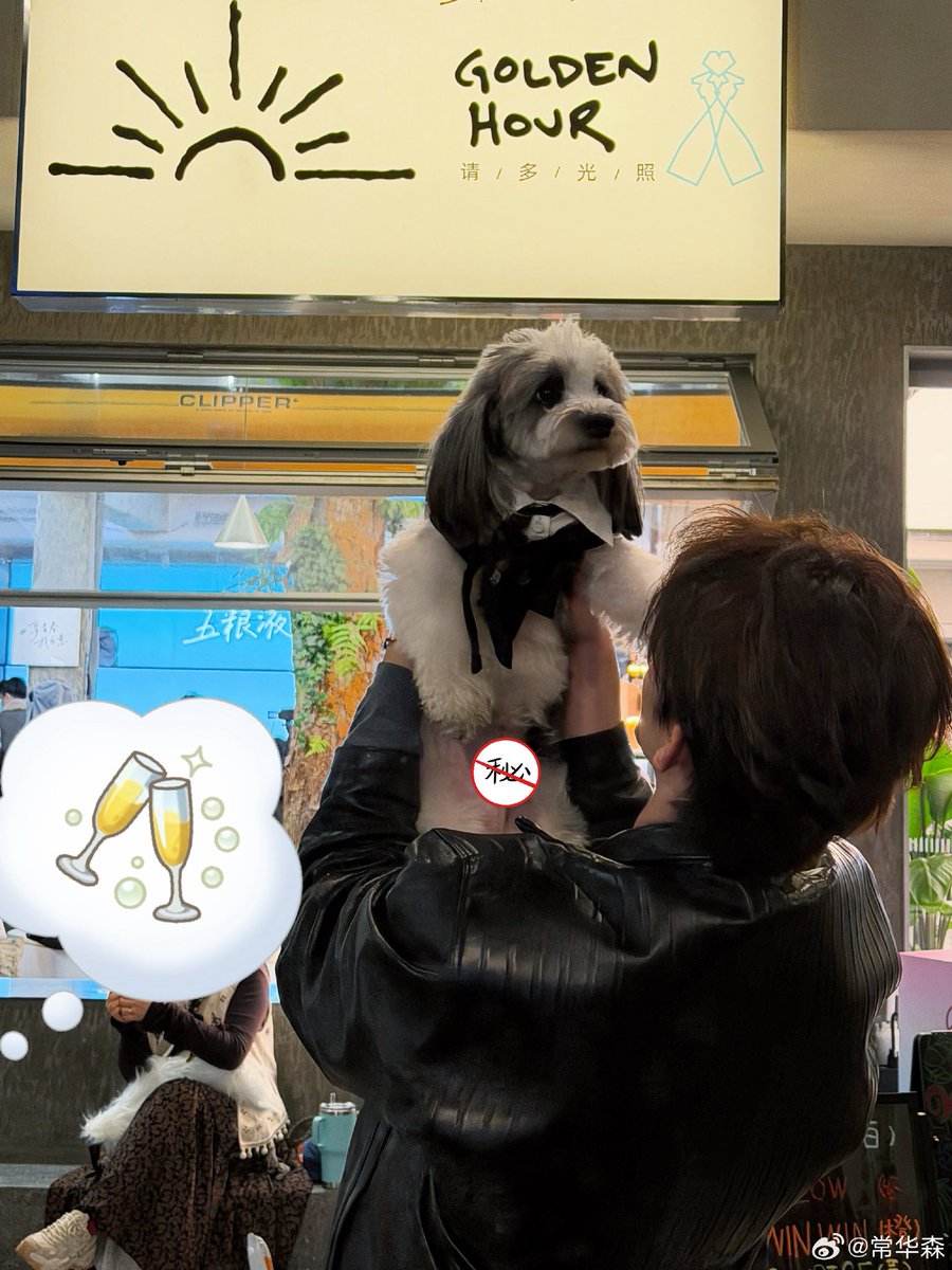 HUASEN🐾 tweet media