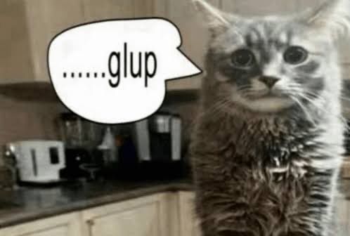 marty mauser de são gonçalo tweet media