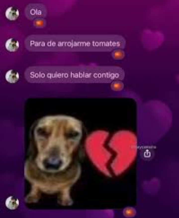 badbunnyYumes's tweet photo. Su f/o y ustedes 

—😼 https://t.co/fXIApJIy9p