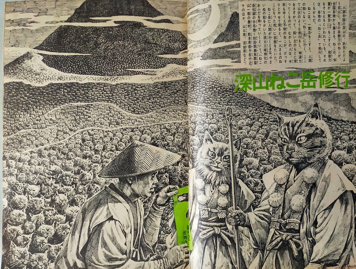 りもこん市長 tweet media