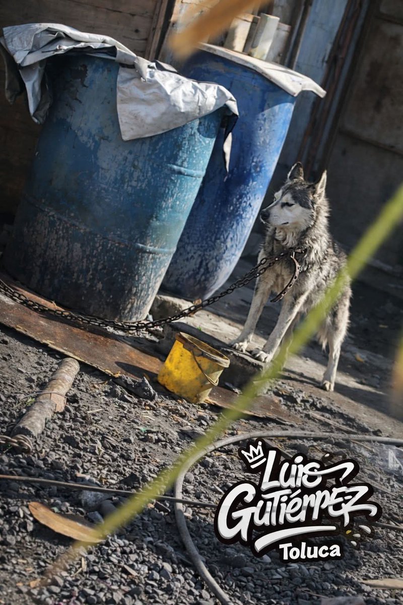 Hector Trejo tweet media