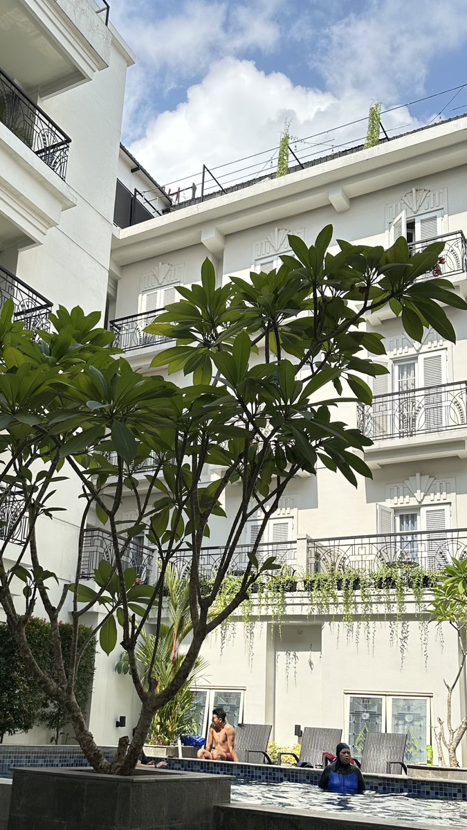 dumpoverflow tweet media