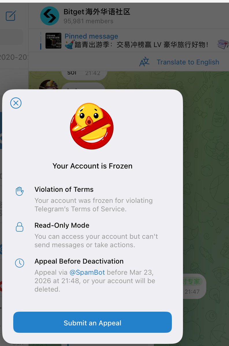 柠檬🍋 tweet media