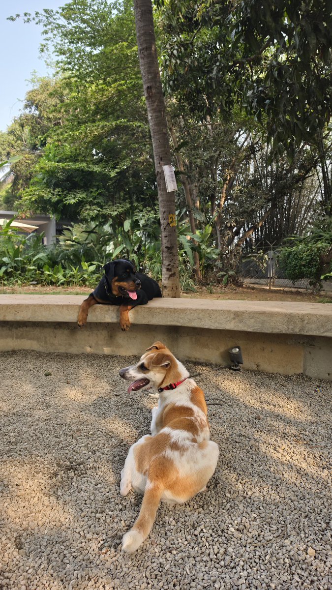 What's in a Name? tweet media