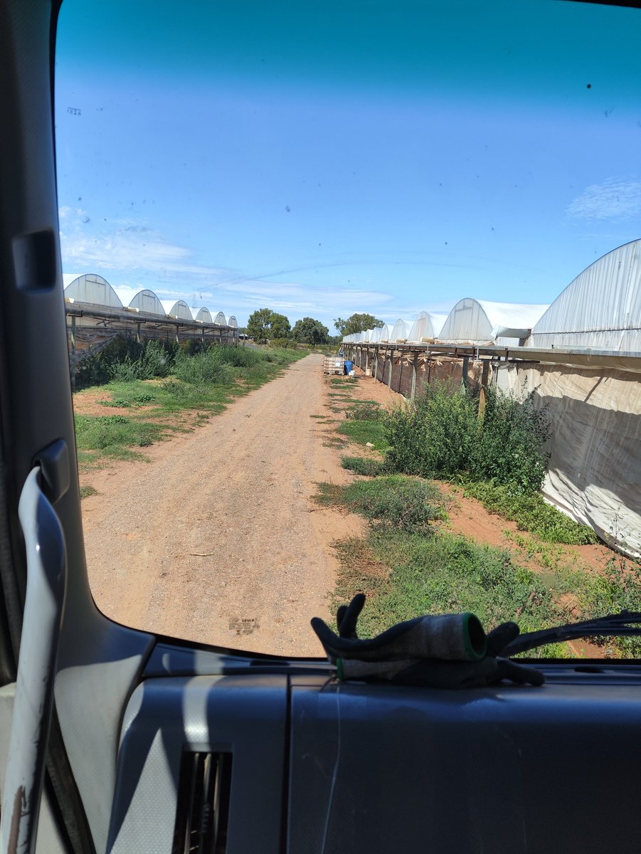 DINIKMATISAJAH tweet media