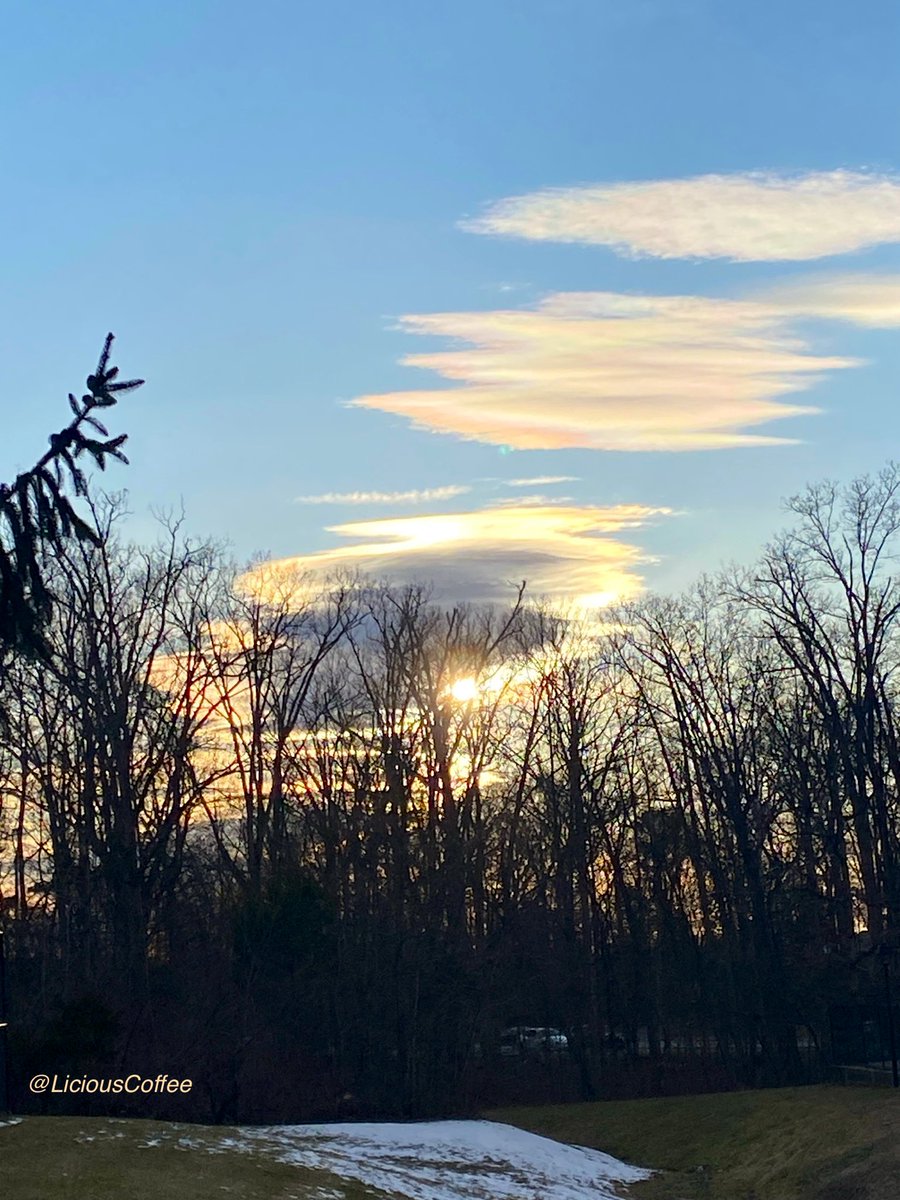 CoffeeLiciousLady tweet media