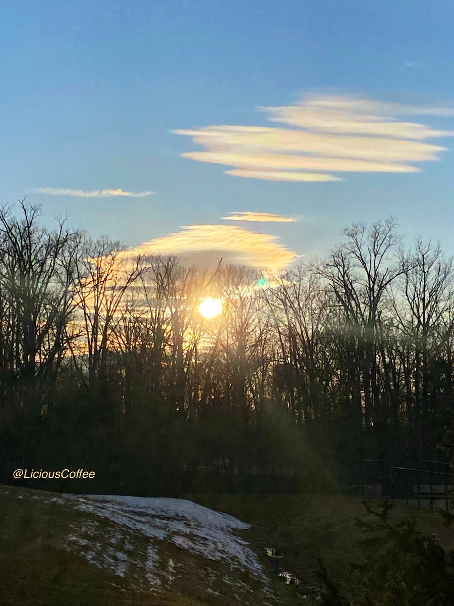 CoffeeLiciousLady tweet media