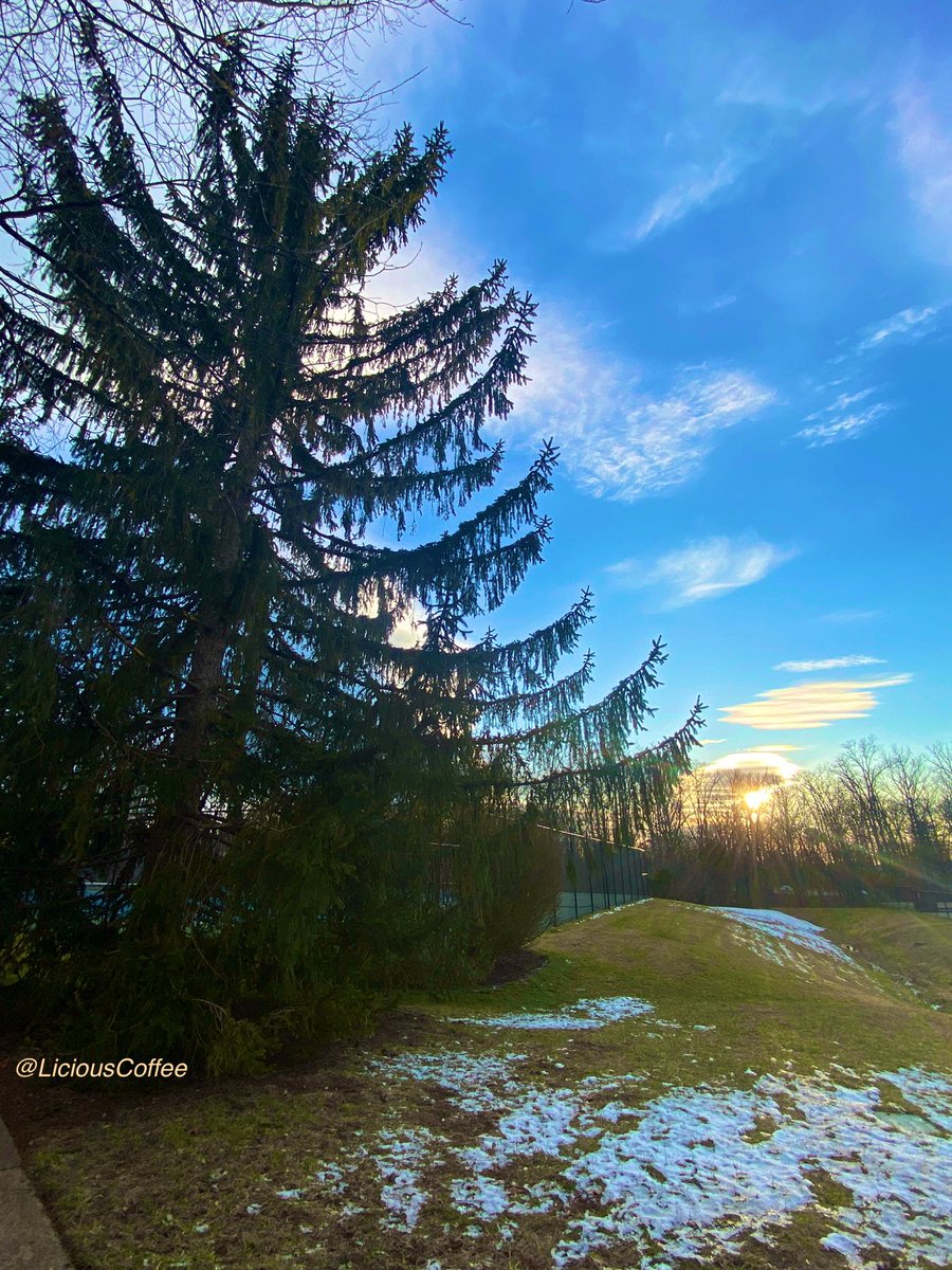 CoffeeLiciousLady tweet media