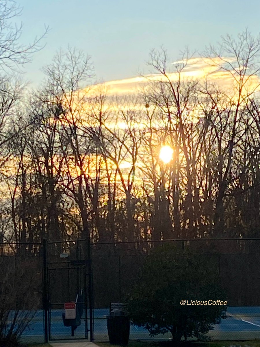 CoffeeLiciousLady tweet media