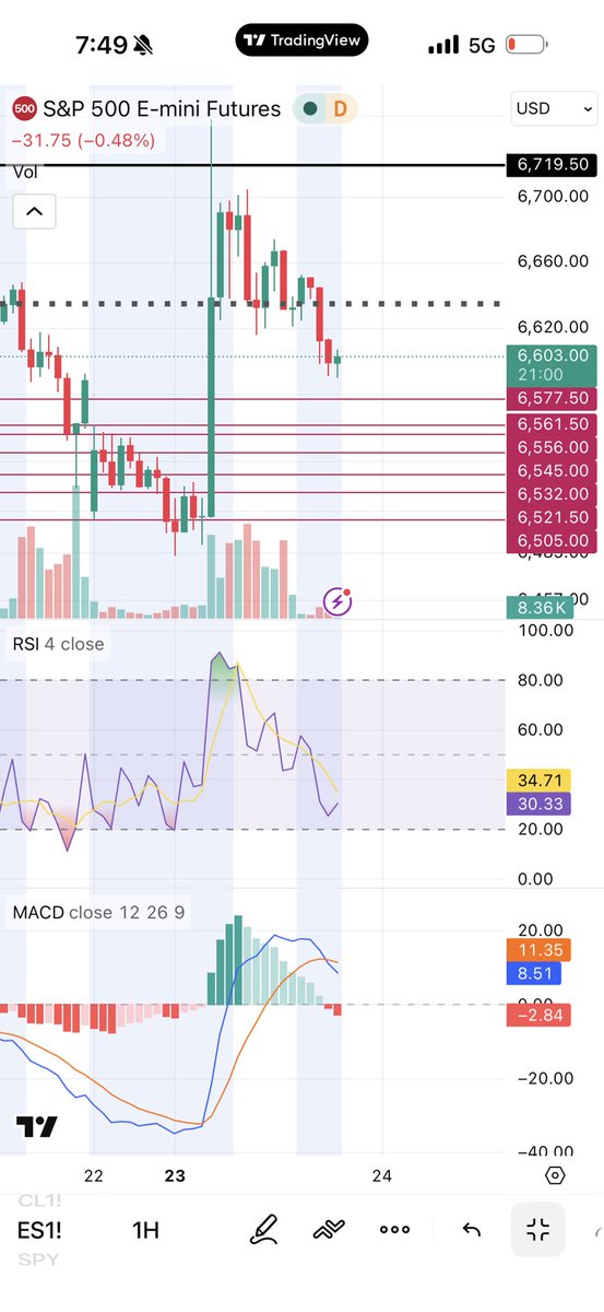dylankelly tweet media