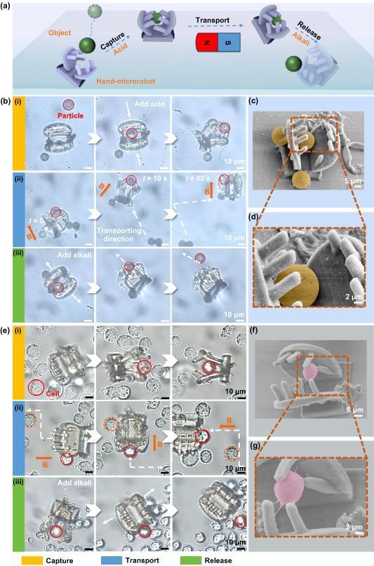 International Journal of Extreme Manufacturing tweet media