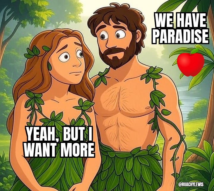 クモ男爵 tweet media